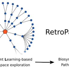 RetroPath RL: Reinforcement Learning for Bioretrosynthesis, <i>ACS Synthetic Biology</i>