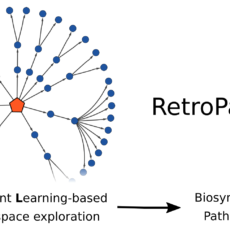RetroPath RL: Reinforcement Learning for Bioretrosynthesis, <i>ACS Synthetic Biology</i> RetroPath RL: Reinforcement Learning for Bioretrosynthesis, <i>ACS Synthetic Biology</i>