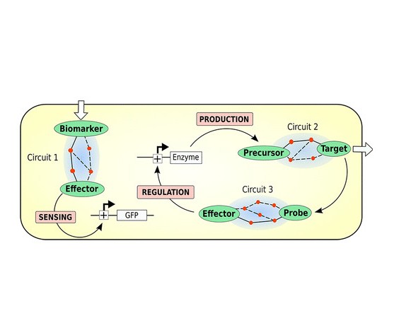 Retropath: Automated Pipeline for Embedded Metabolic Circuits, <i>ACS Synth Biol</i>