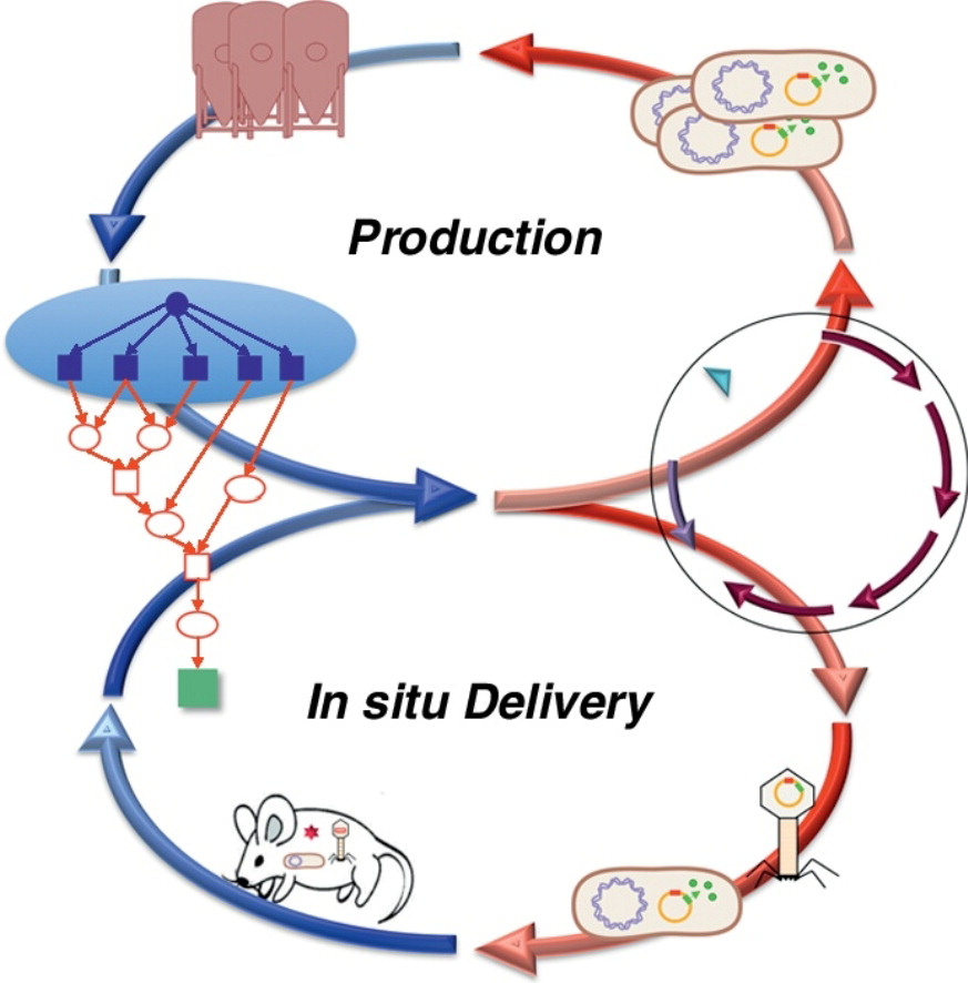 A retrosynthetic biology approach to therapeutics: from conception to delivery, Current Opinion in Biotechnology