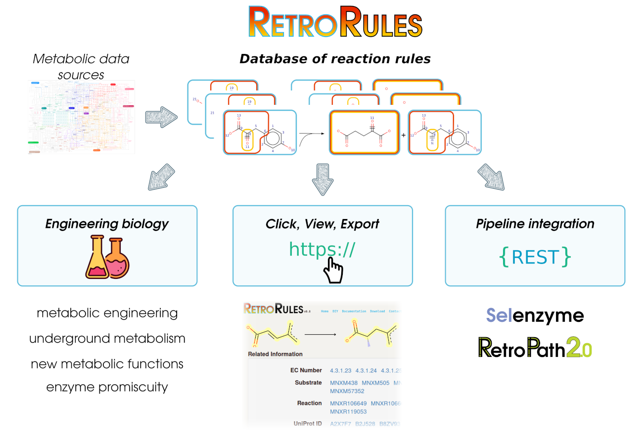 RetroRules: A database of reaction rules for engineering biology, Nucleic Acids Research